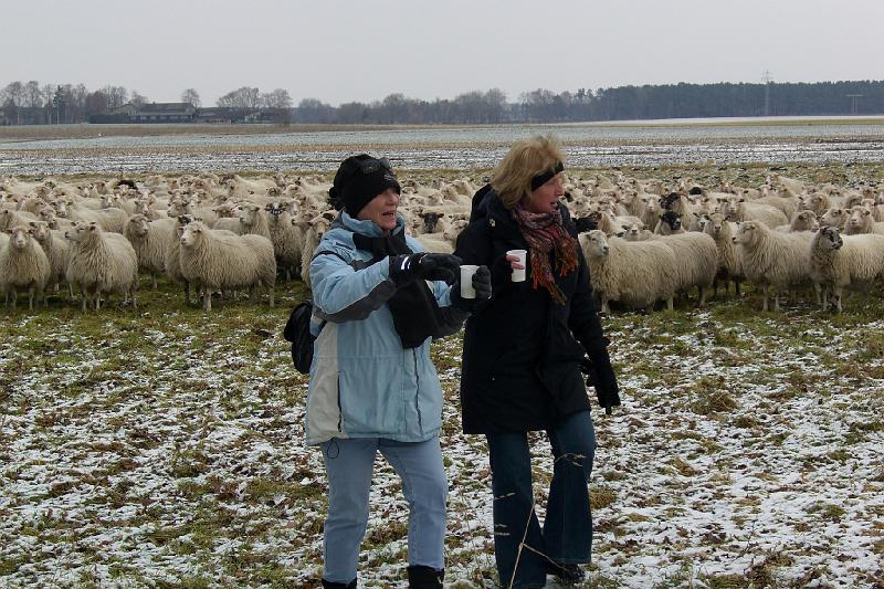 Wanderung 15.02.09  015.jpg